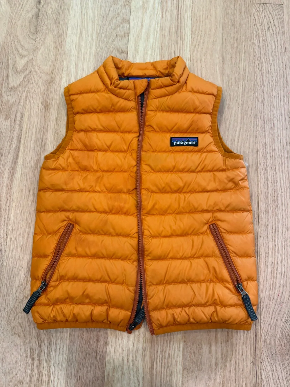 Patagonia baby down sweater vest